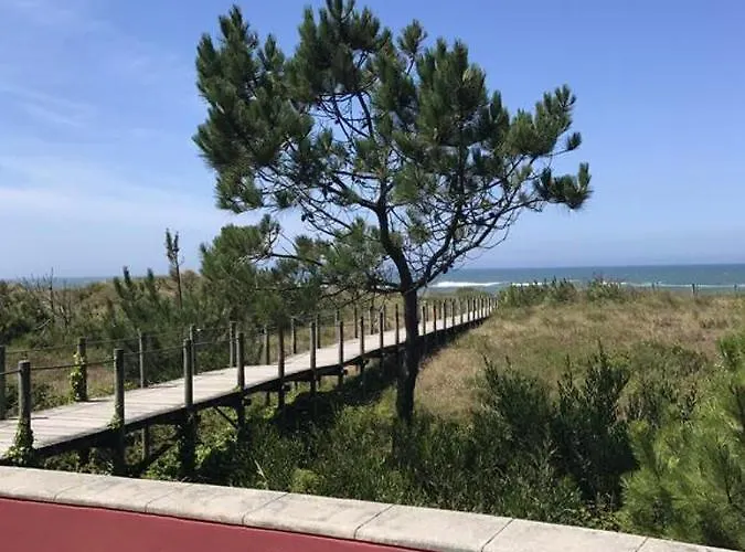 아파트 Spacious With Sea View In Viana Do Castelo, 90 M² *